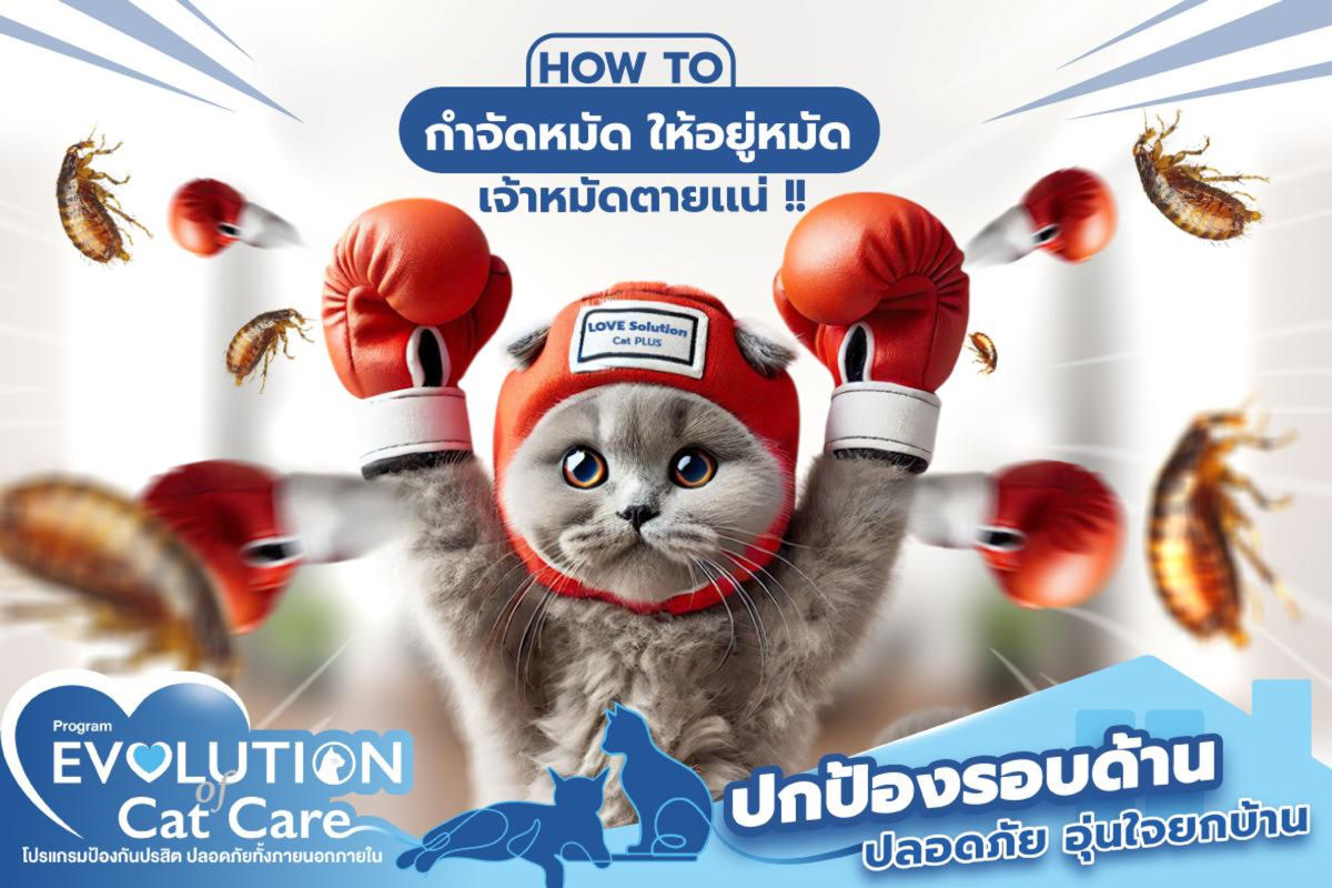 How To กำจัดหมัด ให้อยู่หมัด เจ้าหมัดตายแน่!! 💪🏻