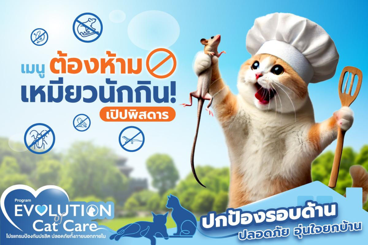 เมนูต้องห้าม เหมียวนักกิน! เปิบพิสดาร 😱