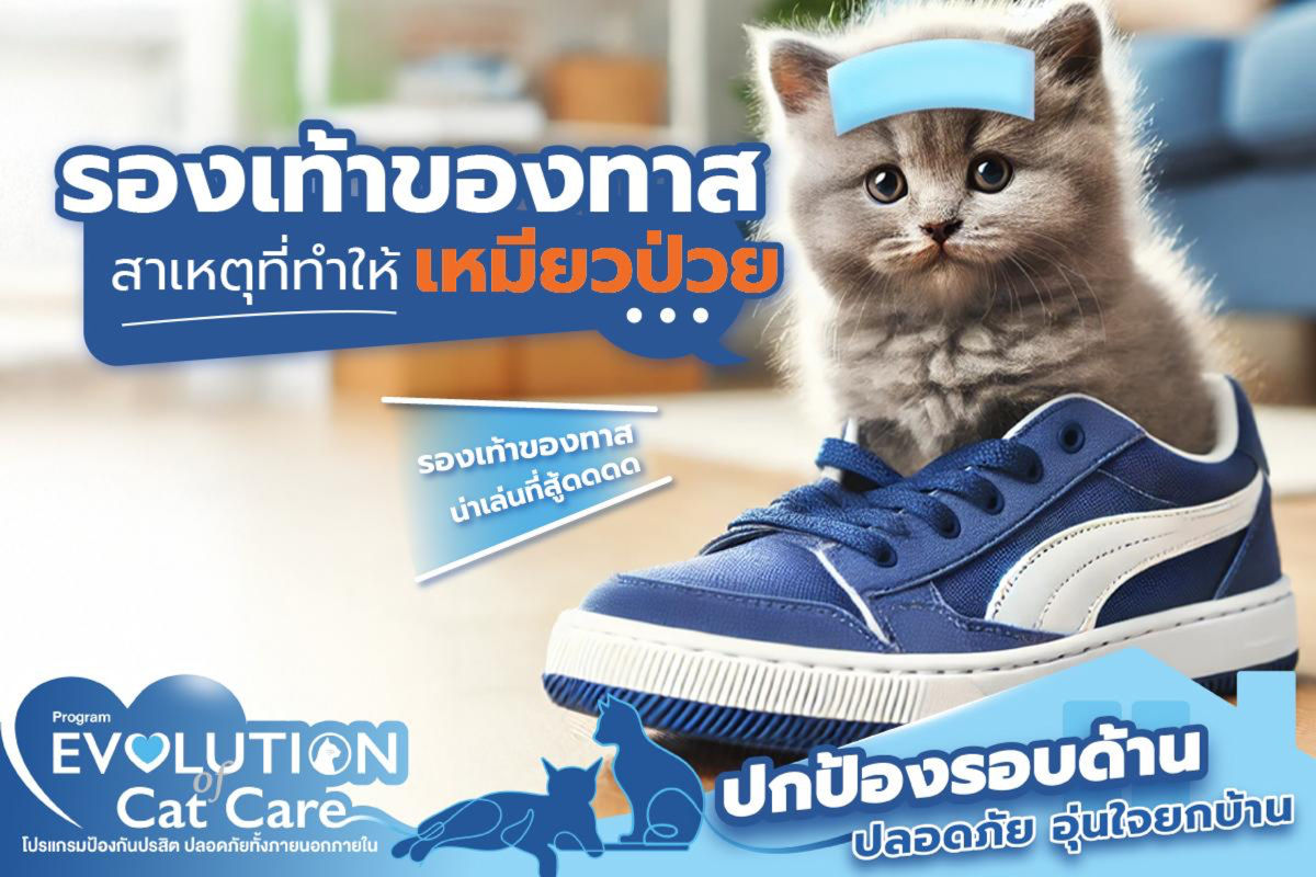 รองเท้าของทาส…สาเหตุที่ทำให้เหมียวป่วยได้ 🙀