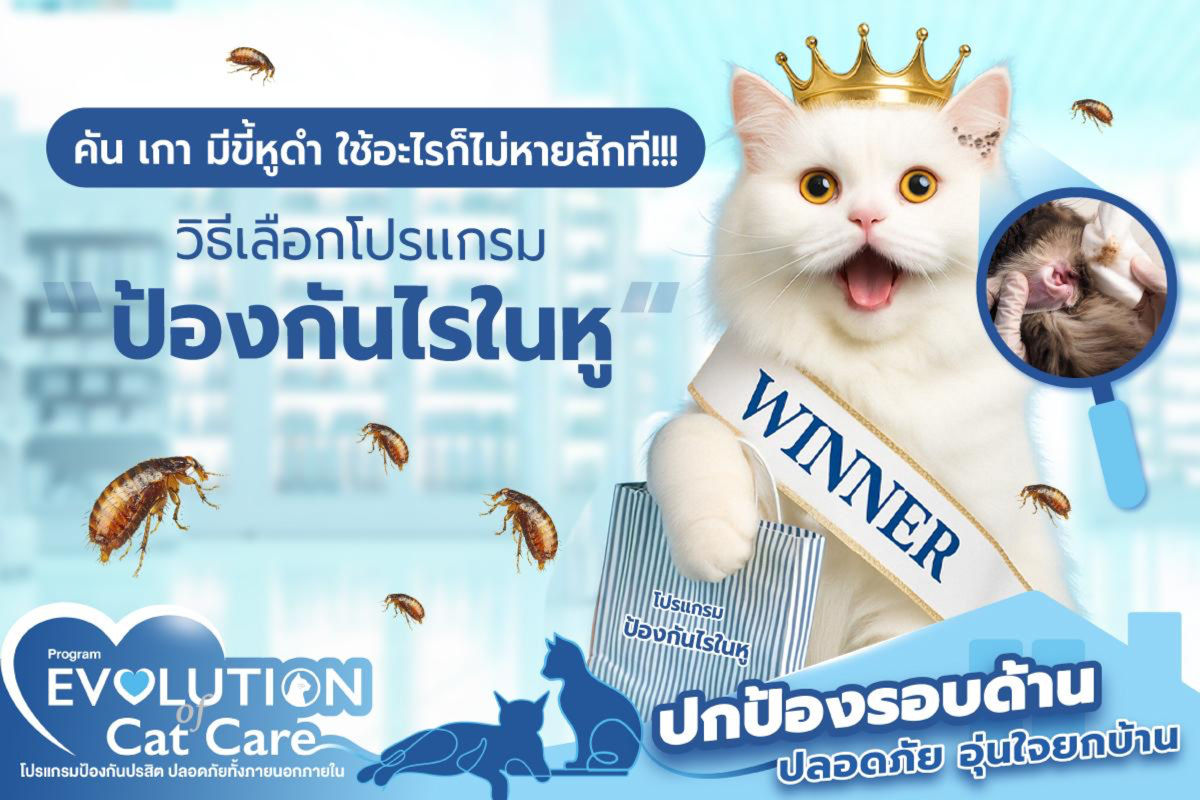 เลือกยังไงให้มงลง !! วิธีเลือกผลิตภัณฑ์ป้องกันไรในหู